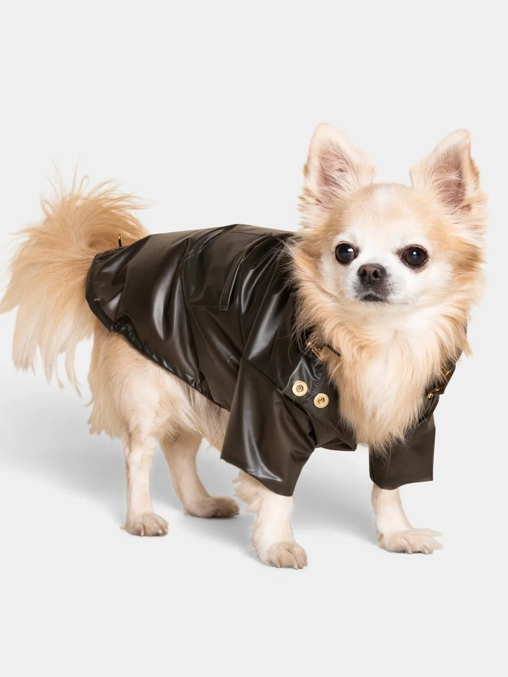 Memari Olive Waterproof Dog Raincoat with Hood